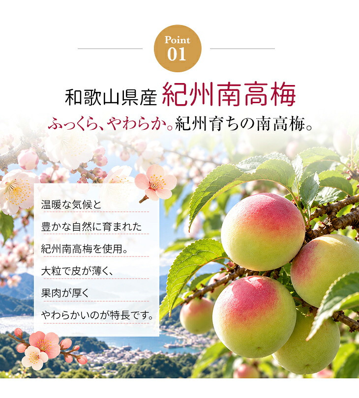梅干し 紀州南高梅 つぶれ梅 3.4kg 850g×4パック 塩分約3% 減塩 しそ漬け 和歌山県産 赤しそ 紫蘇漬け 大粒 訳あり 紀州 超特大容量 まとめ買い 果肉たっぷり ギフト