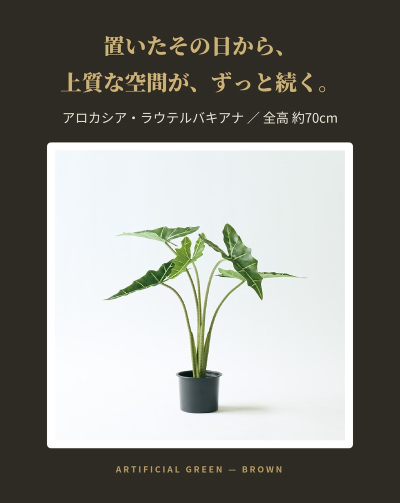 観葉植物 造花 アロカシア・ラウテルバキアナ BROWN 全高約70cm フェイクグリーン 高級 本物そっくり リアル おしゃれ 卓上 インテリア 人工観葉植物 アーティフィシャルグリーン モダン オフィス 店舗 開店祝い 室内 リビング 玄関 寝室 風水 クワズイモ