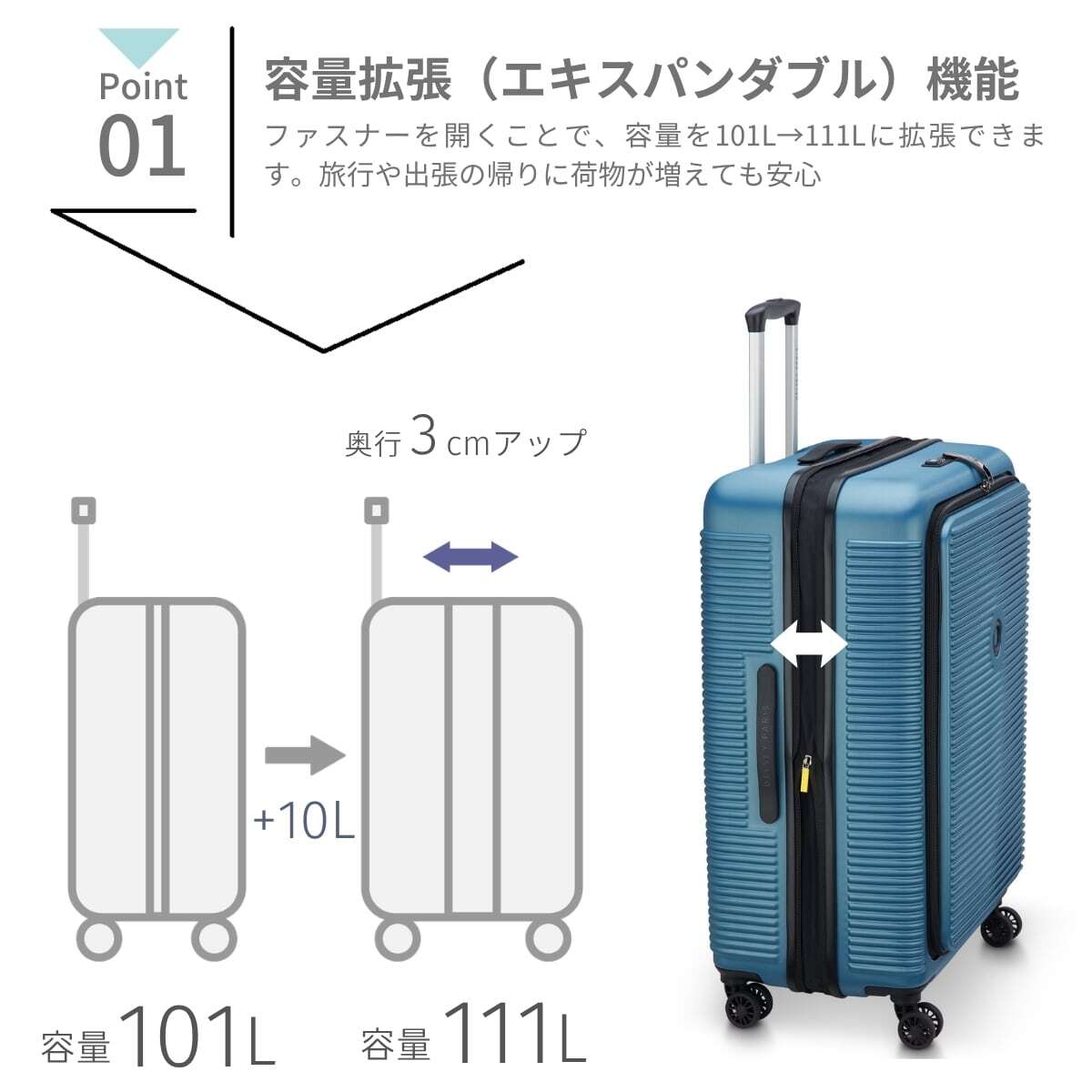 デルセー スーツケース フリースタイル Lサイズ 無料預け入れスーツケース