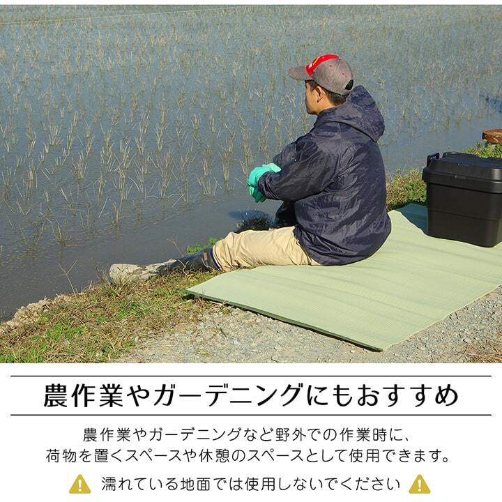 ラグ カーペット 洗える 日本製 国産 アウトドア レジャー 和室 シンプル 江戸間6畳(約261×352cm)