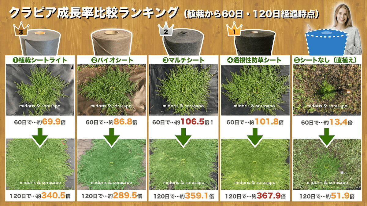 50平米分セット クラピア専用マルチシートセット 1m×50m（50m2）+Jピン（250本） クラピア 植栽用 吸水性 透水性 アップ