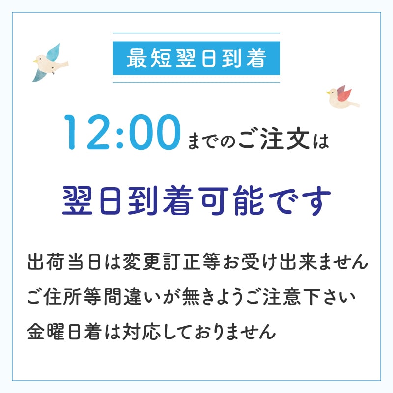 【ペットのお悔やみ】【 選べる5色】【Mサイズ】【クール便】【送料込み】フラワーアレンジメント おまかせ制作 最短翌日お届け  日時指定可 | ペット お供え 犬 猫 お悔やみ 虹の橋 ペット供養 お供え花 お悔やみ花 供花 四十九日 命日に贈るフラワーアレンジメント