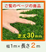 ガーデン エクステリア ロール人工芝 芝丈30mm 幅1m×長さ2m SST-FME-3002 送料無料 ロールタイプ リアル 屋上緑化 ベランダ 庭 屋外 グリーンターフ ターフ