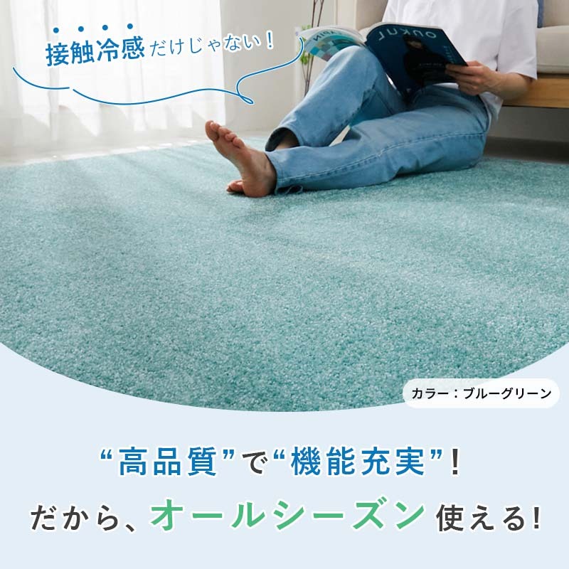 夏ラグ 夏用カーペット ラグ ラグマット カーペット 夏用 夏 接触冷感 絨毯 防臭 正方形 長方形 防虫 防ダニ 北欧 柄 おしゃれ 可愛い 洗える シャギーラグ オールシーズン 遊び毛が出にくい HOT対応・床暖房対応 低ホルムアルデヒド