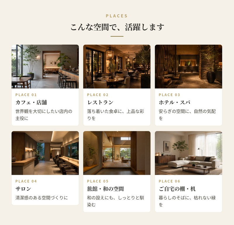 観葉植物 造花 ザミオクルカス BROWN 全高約70cm 卓上・小型 フェイクグリーン 本物そっくり おしゃれ インテリア 人工観葉植物 アーティフィシャルグリーン オフィス 店舗 ホテル 開店祝い 室内 ミニ ザミフォーリア 多肉 フェイク
