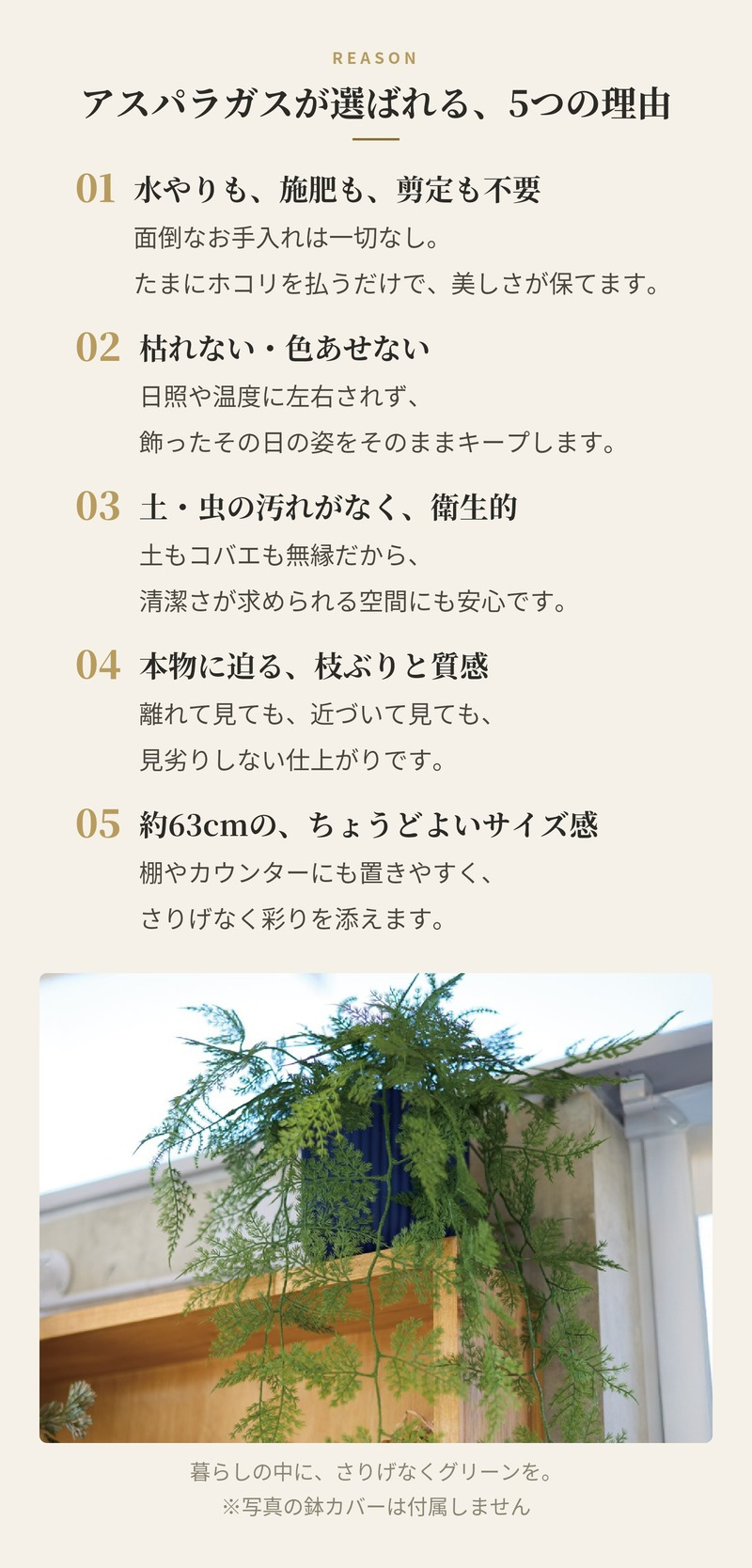 観葉植物 造花 アスパラガス BROWN 全長約63cm フェイクグリーン 高級 本物そっくり リアル おしゃれ 卓上 インテリア 人工観葉植物 アーティフィシャルグリーン 垂れ下がる ふわふわ オフィス 店舗 開店祝い 室内 リビング 玄関 トイレ 風水 アスパラガスファーン