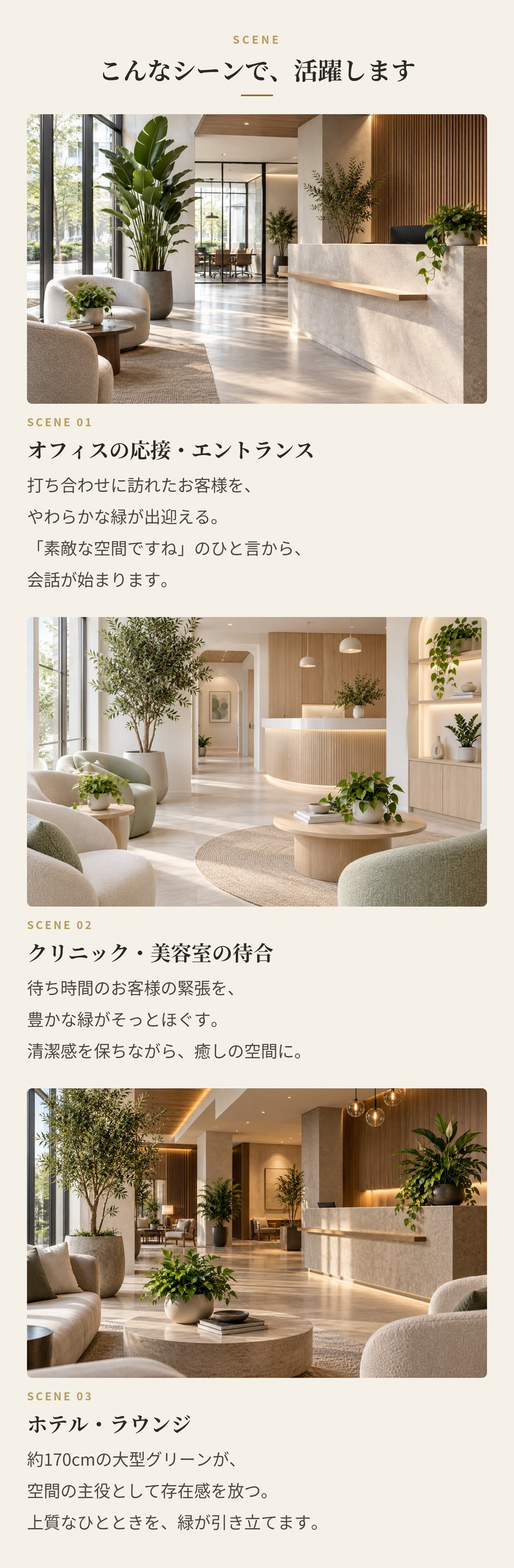 観葉植物 造花 カシワバゴム BROWN 全高約170cm 大型 株立ち フェイクグリーン 高級 本物そっくり リアル おしゃれ ナチュラル インテリア 人工観葉植物 アーティフィシャルグリーン オフィス 店舗 ホテル 開店祝い 室内 リビング 玄関 風水 ゴムの木