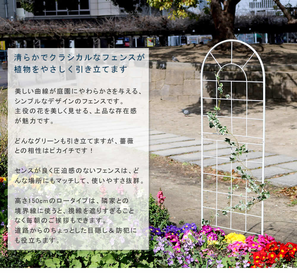 ガーデン エクステリア クラシックフェンス150 ロータイプ 2枚組 フェンス アイアン ガーデニング 枠 柵 仕切り 目隠し 境目 クラシカル アンティーク トレリス ベランダ つる 薔薇 バラ 朝顔 園芸 ラティス つるバラ 庭誘引 屋外 新生活