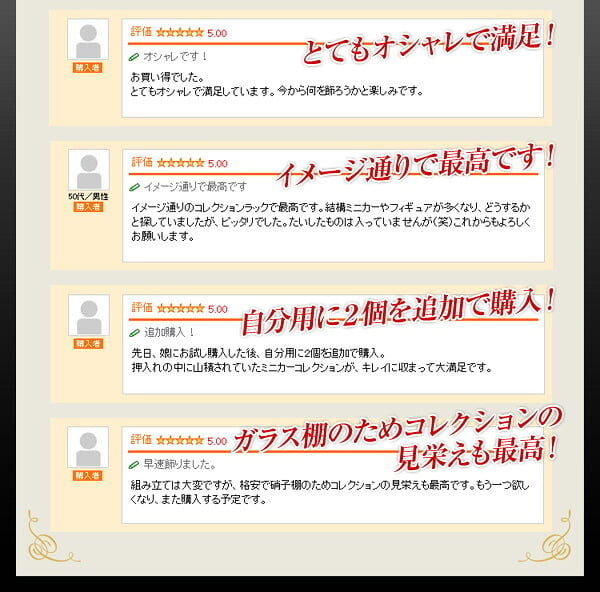 収納家具 ラック コレクション 本体+上置きセット 浅型ハイタイプ 奥行き19cm コレクションケース 壁面収納 ディスプレイケース フィギュア フィギュアケース 魅せて収納 ミニカー 人形 ガシャポン オマケの玩具 プラモデル SET