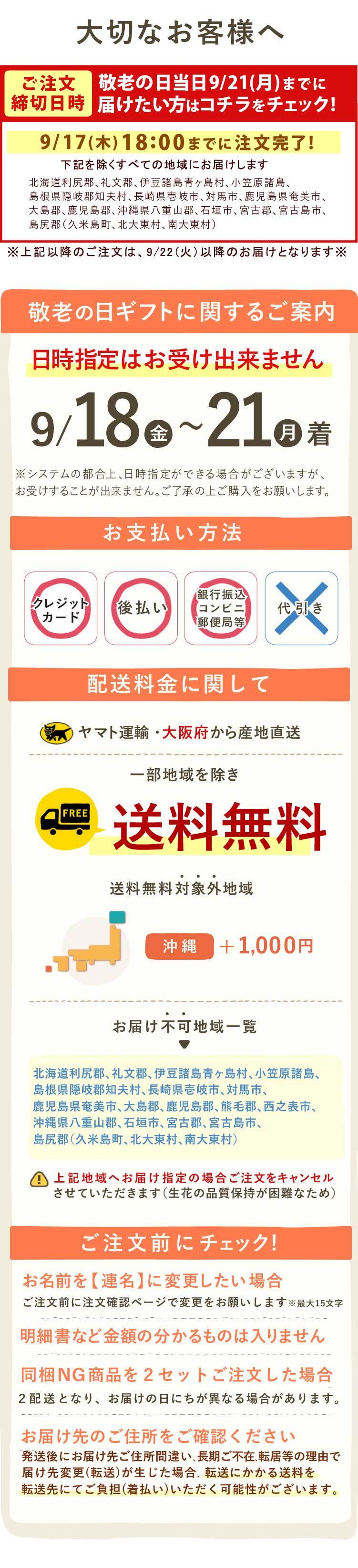 敬老の日 すぐ贈れるギフト プレゼント ギフト 花 盆栽 ミニ 鉢植え 紅葉 もみじ 花鉢 観葉植物 ミニ盆栽 手のひら 苔盆栽 苔 おしゃれ どら焼き 送料無料 スイーツ お菓子 和菓子 メッセージカード おいもや