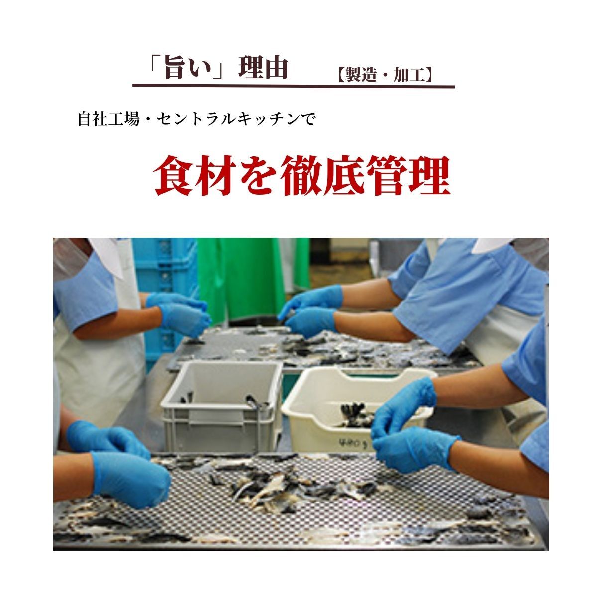 【公式】生ズワイガニ (カット済み) 500g×2個セット【日時指定可／熨斗対応可／送料無料】数量限定 お歳暮 年末年始 お取り寄せ 家族 親戚 義父母 実家 豪華 贅沢 ご褒美 お返し 感謝 カニ 蟹 かに 殻剥き不要 まとめ買い とらふぐ鍋 ふぐ ふぐ刺し とらふく 鮮魚 海鮮 お礼 お返し 慶事 お祝い 玄品ふぐ 玄品 フグ 河豚 トラフグ 冷凍 クール便発送