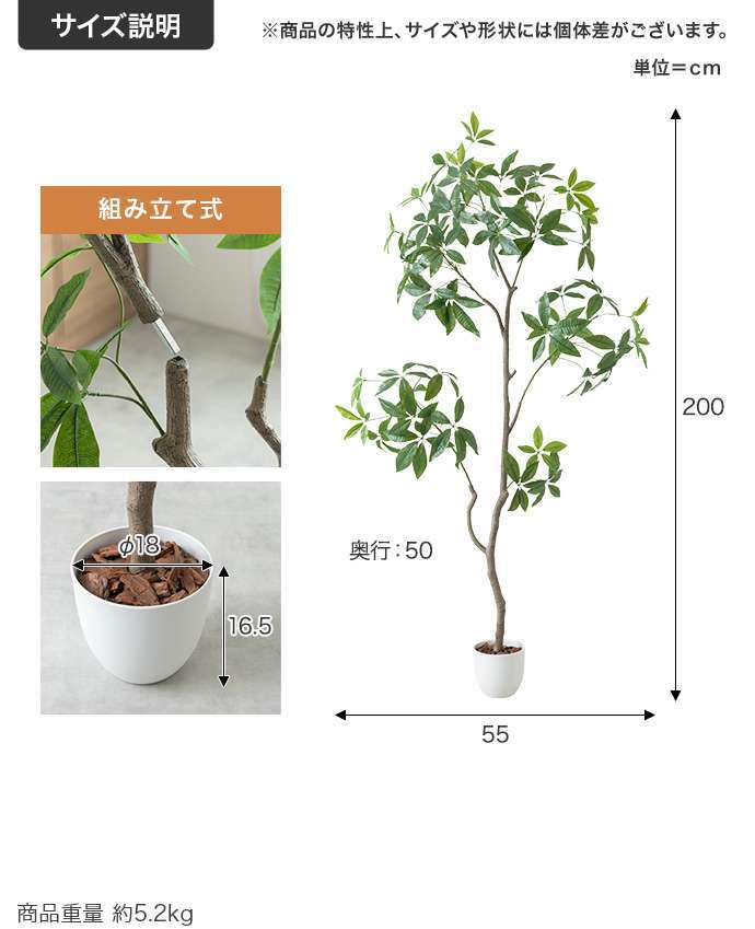 【高さ200cm】光触媒人工観葉植物 パキラ 曲がり 幅55cm×奥行50cm×高さ200cm オフィス 天然木 組立品 お部屋に気軽に飾れて空間を美しく彩るフェイクグリーン 本物の植物のようなリアルな質感とインテリアに馴染む風合いが魅力です