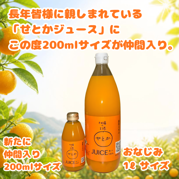「柑橘の王様」せとかジュース 200ml 濃厚な味わい ギフト箱 愛媛県産【贅沢な果汁100％】送料無料