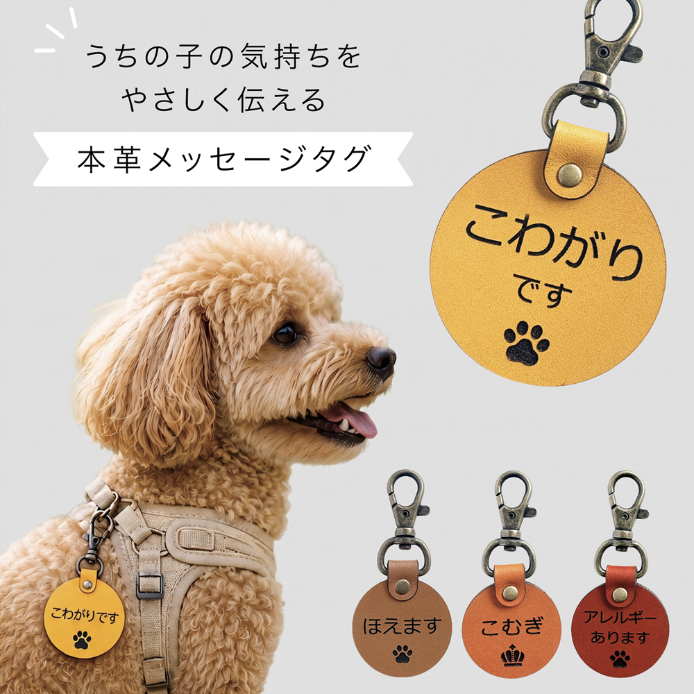 犬 メッセージタグ イエローリボン 散歩 お散歩タグ オリジナル 犬用タグ 迷子札 大きめ 本革 栃木レザー 軽量 散歩タグ 革 レザー 愛犬の気持ちを伝える こわがり 臆病 人が苦手 よく吠える 音が苦手 名入れ