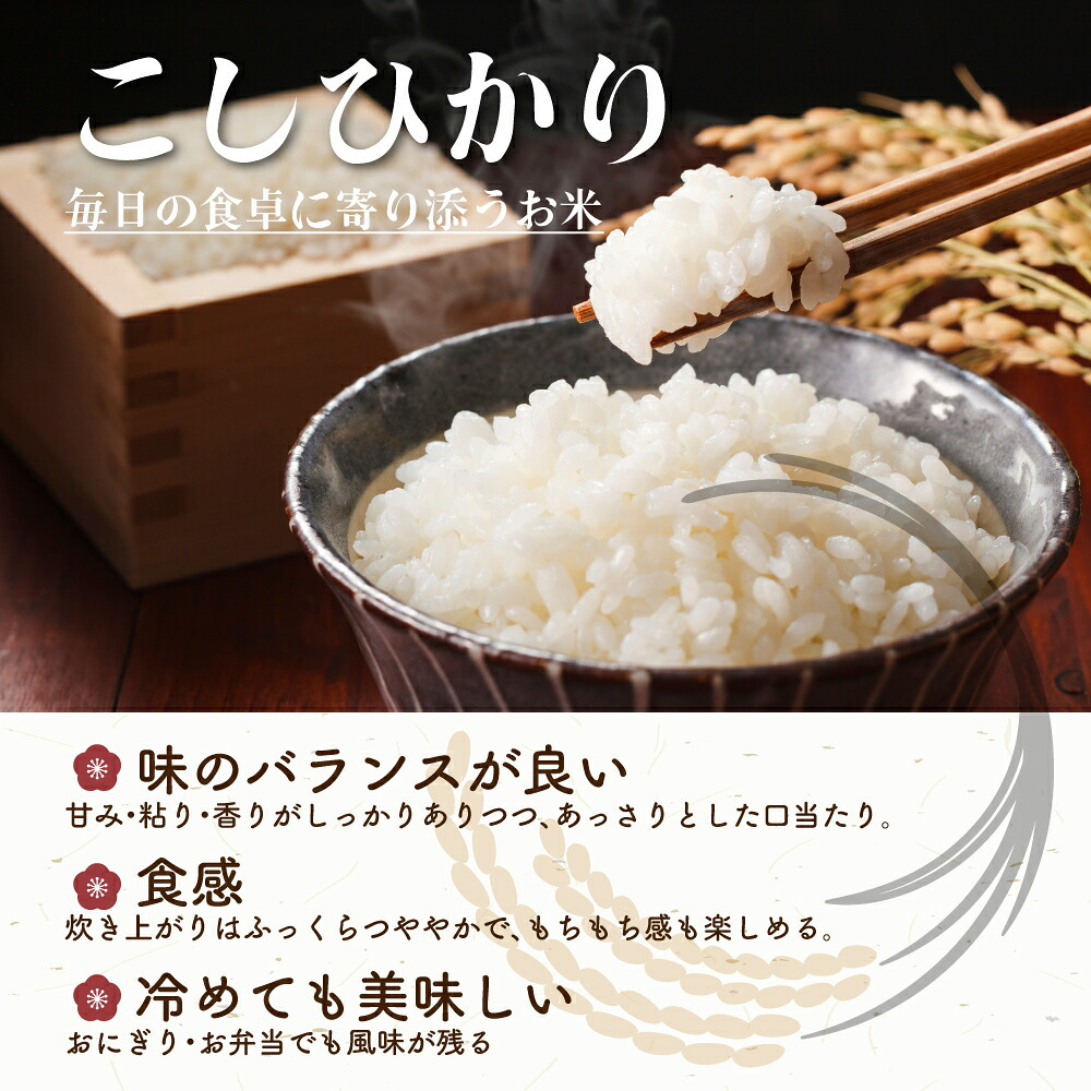 三重県産 コシヒカリ【内容量が選べる10kg~30kg】こしひかり 令和8年産 単一原料米 白米 精米 精白米 送料無料 精米工場からの直送品
