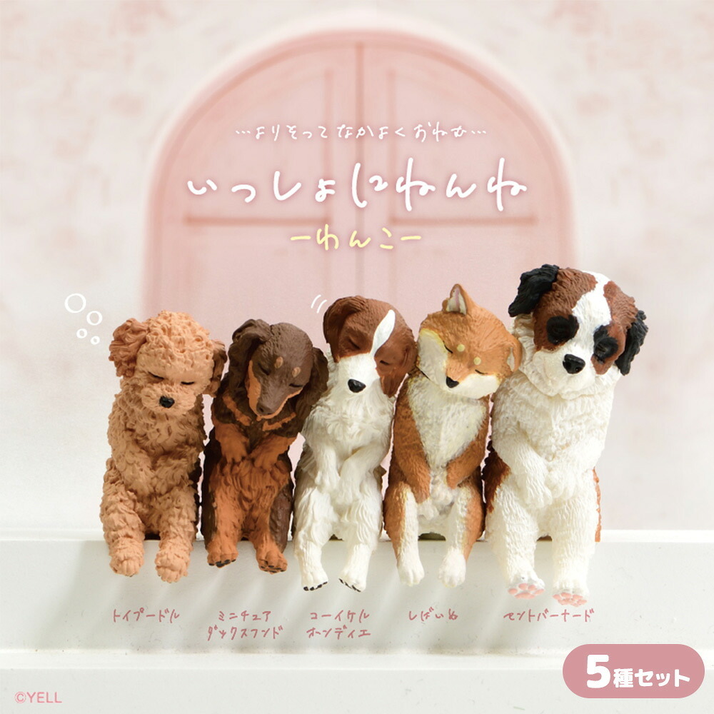 【5種類セット】 ガチャ ガチャガチャ コンプリート 中身 フィギュア おもちゃ かわいい [ いっしょにねんね わんこ ] 犬 イヌ トイプードル ミニチュアダックスフンド コーイケルホンディエ 柴犬 しばいぬ セントバーナード