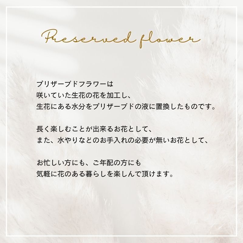 プリザーブドフラワーアレンジメント 【Paint Brush】　 鮮やかな色のプリザーブドフラワー。 7色よりお選びください。プリザーブドフラワー 誕生日 花 プレゼント お礼 お祝い 本物 グリーン 和 ギフト メッセージ 送料無料 お礼 プリザーブド プレゼント おしゃれ リビング インテリア 枯れない花 土日発送 母の日 敬老の日 お中元 お歳暮