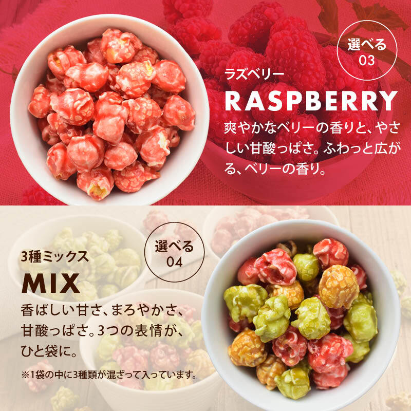 前田家 選べる 4種 フレーバーポップコーン キャラメル / 抹茶ミルク / ラズベリー / 3種ミックス 120g/280g/400g マッシュルーム型 お菓子 スイーツ おやつ 映画 送料無料 MAEDAYA