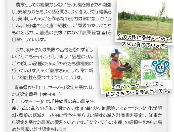 【11月中旬頃発送】蜜入りは１２月末まで　青森県認証 特別栽培農産物 ◆ 甘くておいしい！フォーシーズン 青森りんご 葉とらずサンふじ 家庭用 約１０kg箱