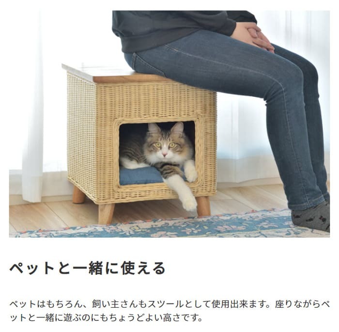 ラタン ペットハウススツール ペットと一緒にくつろぐ クッション付き 椅子 テーブル ネコ イヌ 猫 室内用 屋内用 小型犬 ペット用品 グッズ キャットタワー 省スペース 犬用 猫用 かわいい おしゃれ リゾート ホテル ケージ 最大2 天然木 イス