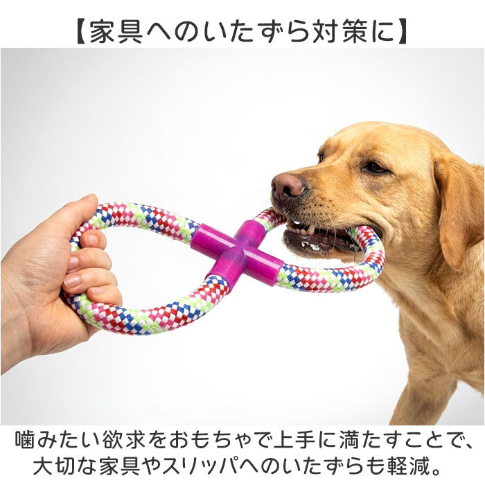 犬 おもちゃ 10個セット 通販 コットンロープ デンタルケア 運動不足解消 引っ張り合い 一人遊び 投げて遊ぶ 水洗い可能 耐久性抜群 噛むおもちゃ 室内屋外兼用 多頭飼い ペット用おもちゃ 安全素材 ストレス発散 小型犬