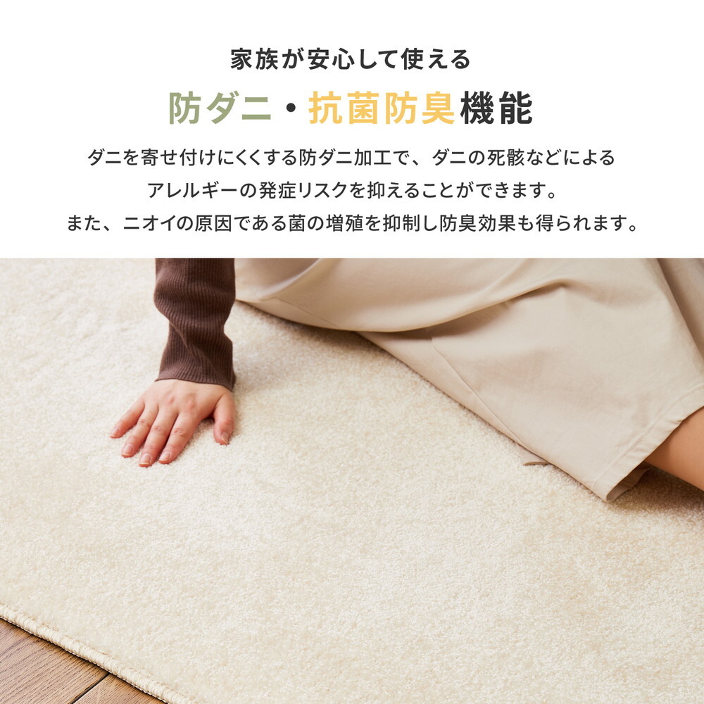 ラグ カーペット 国産高機能 ララ 約130×190cm 防ダニ 抗菌 防臭 防音 防炎 制電 日本製 ナイロン 無地