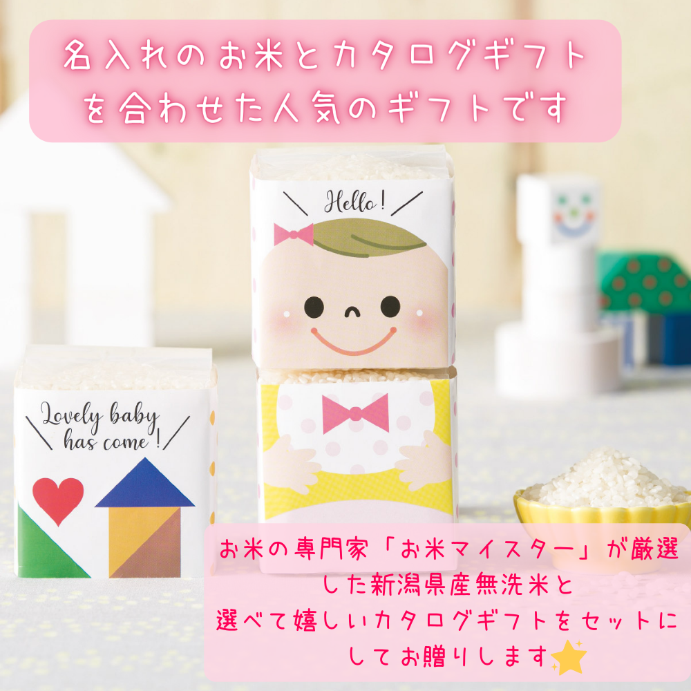Rdera09b 人気商品 新潟県産無洗米コシヒカリ名入れライスドール チョイスカタログ サファイア 女の子 カタログギフト 15800円コース こしひかり コシヒカリ 無洗米 2合 3袋 名入れ お返し 出産内祝い 化粧箱 おすすめ かわいい 名入れ 包装無料 のし無料 消費税10