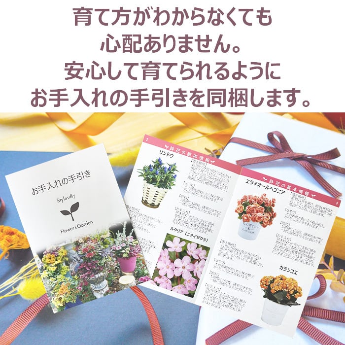 祝 敬老の日 プレゼント ギフト リンドウ メルヘンアシロ4号 バスケット 9月21日 鉢花 りんどう 送料無料 沖縄・離島を除く