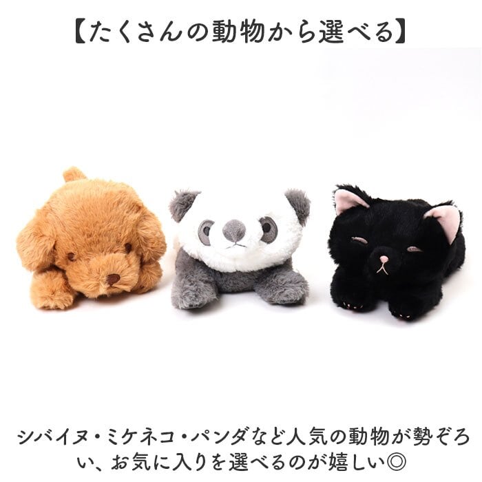 ぬいぐるみ マスコット 通販 手のひらサイズ 小さい ビーズ ビーズクッション ミニサイズ ぬい撮り ぬいどり 子供 子ども キッズ 癒し 動物 アニマル リストレスト 小学生 ふわふわ 猫 犬 ねこ インテリア雑貨 癒しグッズ 雑貨 贈り物 デスク飾り