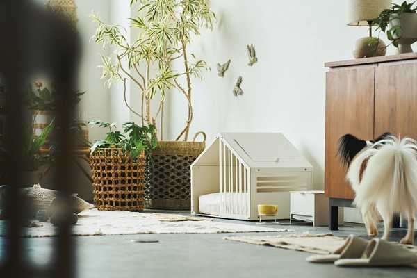 ペットハウス S ミルク 犬 猫 小型犬 中型犬 ハウス 犬小屋 屋内 室内用 ガルバリウム鋼板製 おしゃれ スタイリッシュ モダン ペット用 隠れ家 頑丈 耐久性 洗練 丈夫 通気性 快適 安全設計 犬用 猫用 ペット用品 S24-0551 セトクラフト
