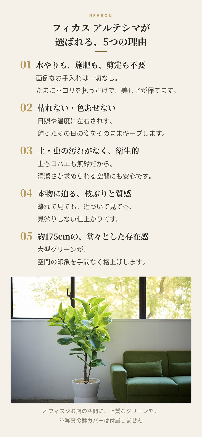 観葉植物 造花 フィカス アルテシマ BROWN 全高約175cm 大型 斑入り フェイクグリーン 高級 本物そっくり リアル おしゃれ インテリア 人工観葉植物 アーティフィシャルグリーン オフィス 店舗 ホテル 開店祝い 室内 リビング 玄関 風水 ゴムの木 アルテシーマ
