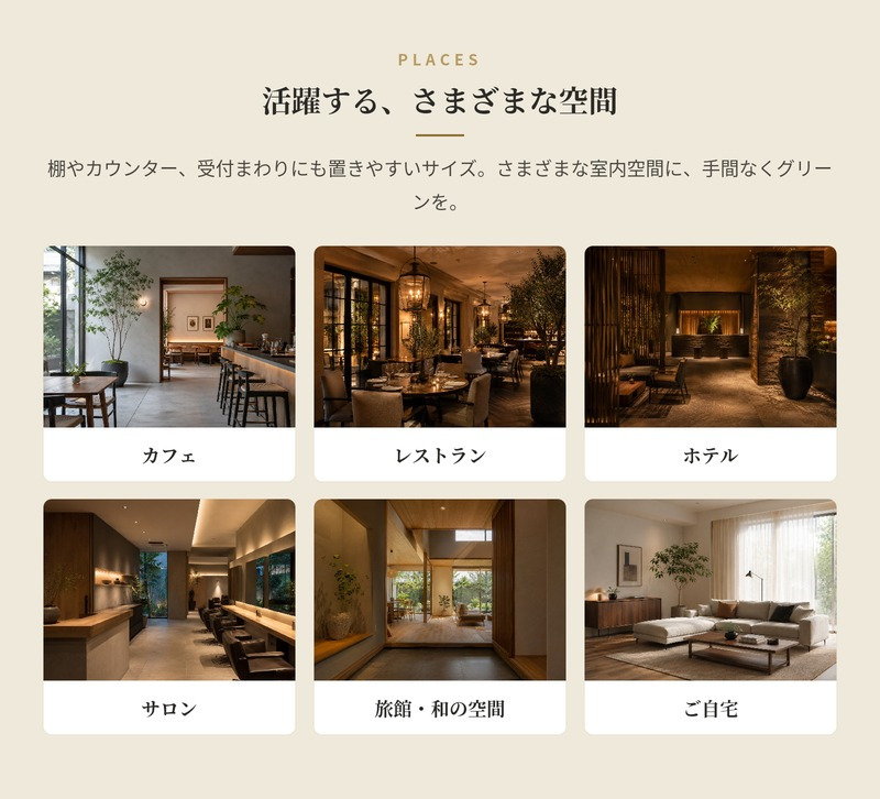 観葉植物 造花 フレボディウム BROWN 全高約65cm 卓上・小型 フェイクグリーン 本物そっくり おしゃれ インテリア 人工観葉植物 アーティフィシャルグリーン オフィス 店舗 ホテル 開店祝い 室内 ミニ ブルースター シダ フェイク