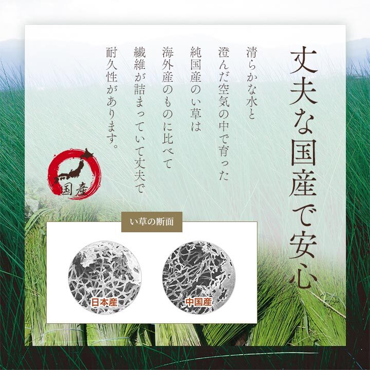 座布団 い草座布団 日本製 抗菌防臭 消臭 湿度調整 蒸れにくい 涼しい モダン 無地 2枚組 55×55cm 和風モダンのシンプルない草座布団 国産 ウレタン 座ぶとん ざぶとん フロアクッション 和室クッション 寝具 寝室用品 インテリア 汚れにくい 新生活