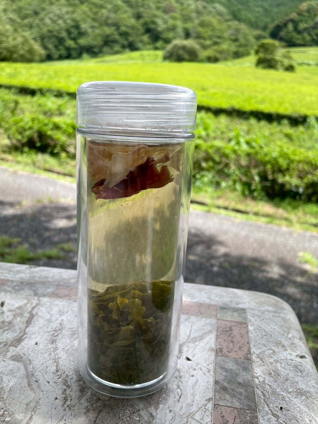 【自然栽培のお茶】ローズ煎茶ティーバッグ8包
