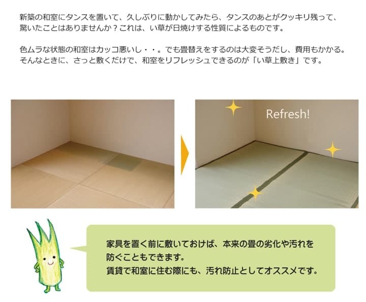 夏ラグ 夏用カーペット 純国産 い草 上敷き カーペット 双目織 『草津』 本間6畳(約286×382cm）