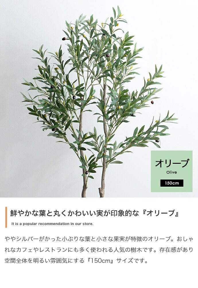 照明 ライト ナチュレ 観葉植物 オリーブ フェイクグリーン 人工 室内 リビング オフィス 一人暮らし 緑 光触媒 空気清浄 消臭 抗菌 防汚 ホルムアルデヒド分解 高さ150cm 造花 おしゃれ 植木 鉢植え 観賞用 グリーン