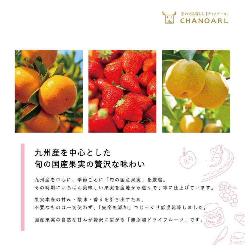 国産無添加 フルーツティー＆水出しボトルセット｜和紅茶 国産ドライフルーツ 砂糖不使用 フルーツティー 水出し茶 アイスティー お茶ギフト おしゃれ ギフト 誕生日 お祝い 母の日 お歳暮 お年賀 クリスマス プレゼント