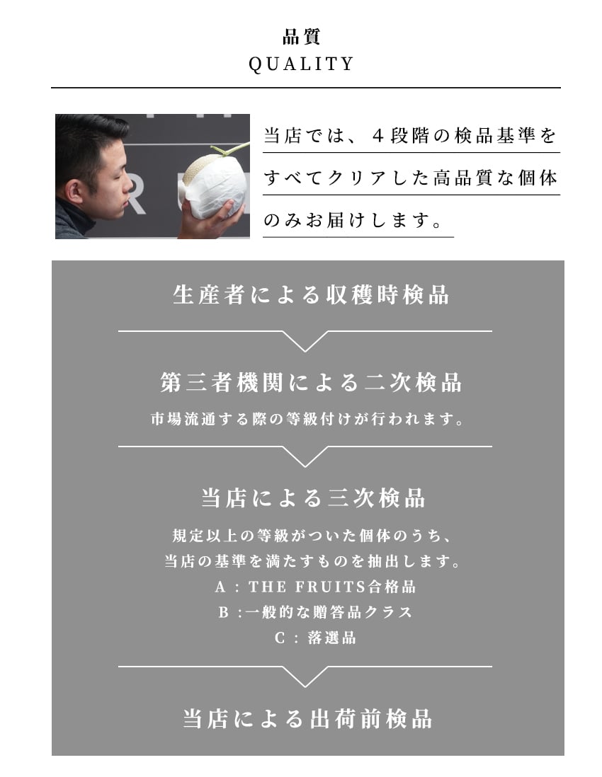 THE FRUITS ラ・フランス 山形県産 洋梨 ラ・フランス 1玉 等級 特秀 中玉 16玉級 以上 ラフランス 洋梨 高級 内祝い お返し 出産内祝い 内祝 入学内祝い 快気祝い 結婚祝い 結婚内祝い お供え 御供 ギフト フルーツ 果物  希少 食べ物 大容量 贈答品 贈答用