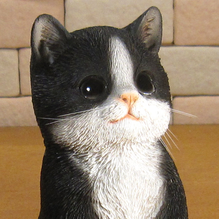 猫　置物 リアル　シンお願いキャット　４　ハチワレ　ネコ　動物オブジェ　ガーデン　オーナメント　店舗　カウンター　装飾　オブジェ　インテリア　玄関先　庭　ねこ好きさん人気ギフト　動物人気ギフト　クリスマスプレゼント　お誕生日祝い　母の日人気　父の日人気　敬老の日人気