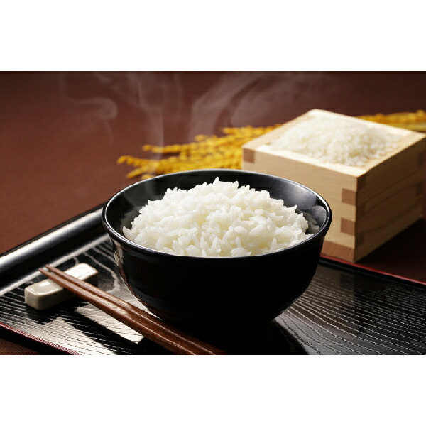 麺米御膳-めんまいごぜん-B(ギフト プレゼント 贈り物 個包装 名入れ お米 うどん お祝い 内祝い 結婚祝い 結婚内祝い 出産内祝い 手土産 お返し お礼 快気祝い 退職祝い 引越祝い 詰め合わせ 挨拶 人気 おすすめ)