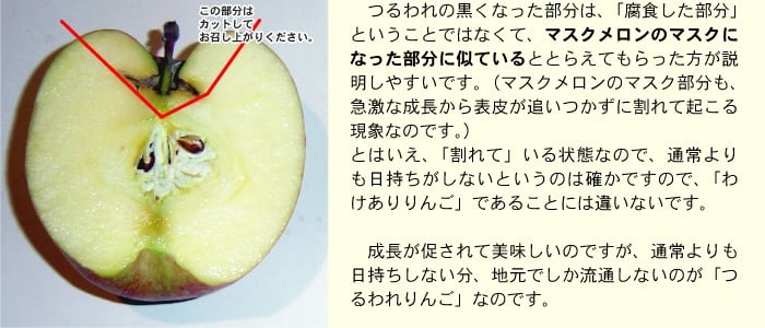 【11月中旬頃発送】一華ベジフル 青森 リンゴ サンふじ 家庭用 3C箱(3kg箱:約7～10個入) りんご 青森県産 蜜入り リンゴ 林檎 りんごジュース ギフト 御歳暮 お歳暮 フルーツ 果物 青森県 お土産 お取り寄せ 販売 通販 2026 訳あり【送料無料】