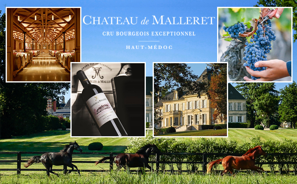 ワインギフト フランス ボルドーワイン BORDEAUX 赤ワイン マルゴー 2019年 辛口  750ml カベルネ・ソーヴィニヨン メルロー プレゼント 誕生日 結婚祝い お返し 内祝い のし対応 熨斗 送料無料