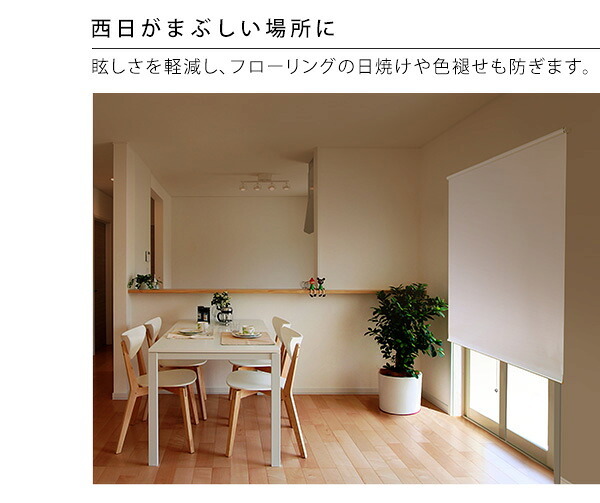 カーテン 窓まわり 壁に穴開けない 突っ張り式 ロールスクリーン 180×180 遮光 1級 つっぱり ロール 取り付け 簡単 おしゃれ レール 賃貸 後付け 幅180ｃｍ 間仕切り 新生活