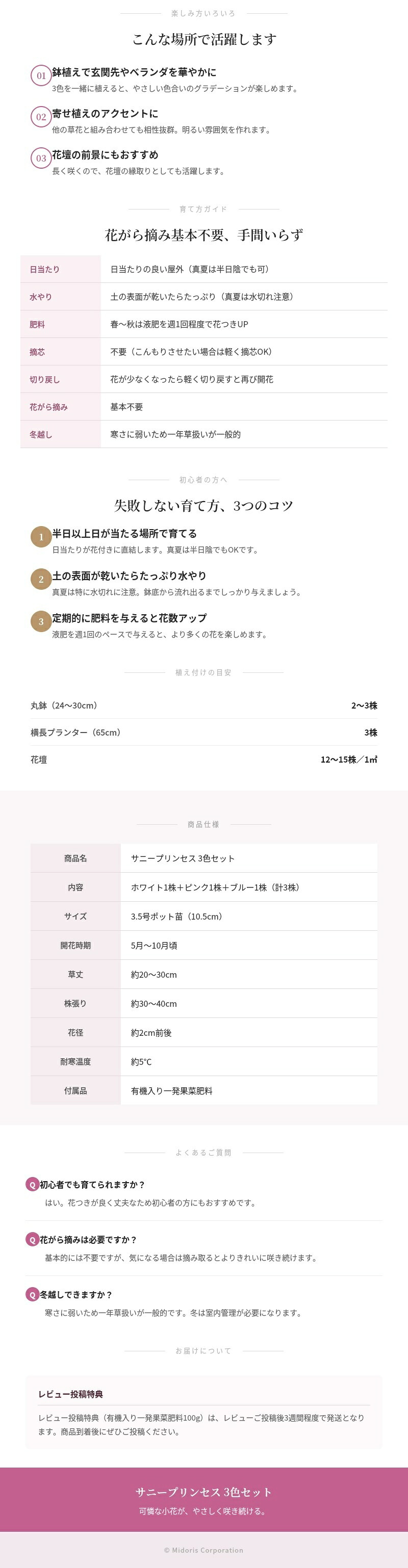 サニープリンセス 苗 3色セット ホワイト ピンク ブルー 3.5号ポット サントリーフラワーズ ｜トレニア｜小花が咲き続ける夏の花苗｜鉢植え・プランター・花壇におすすめ｜初心者向け｜肥料付き ガーデニング ハンギング