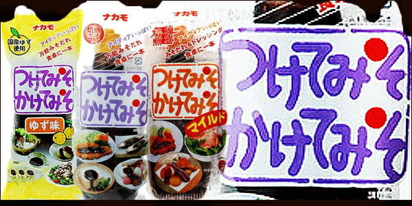 ナカモ　つけてみそかけてみそ400g×10