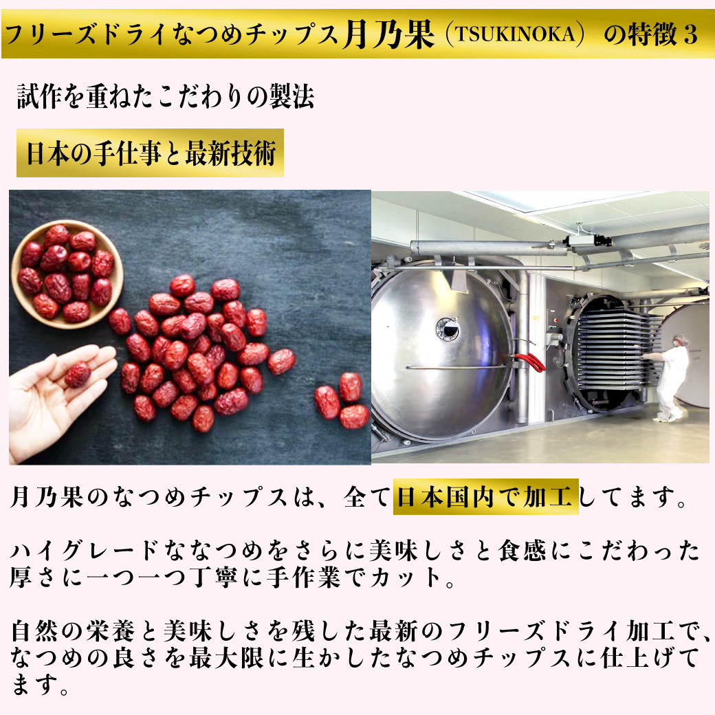 ＼新発売／フリーズドライ なつめチップス 月乃果（TSUKINOKA）20g 無農薬・無化学肥料 ノンシュガー ノンフライ 無添加 厳選なつめ 日本加工