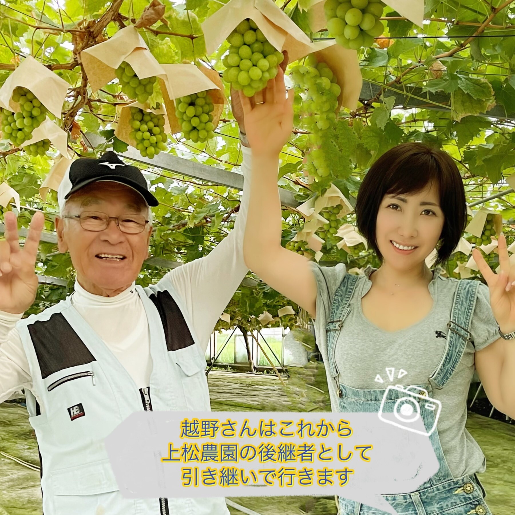 【予約】岡山県産 シャインマスカット 3kg 3～6房 贈答用秀品 国産 フルーツ