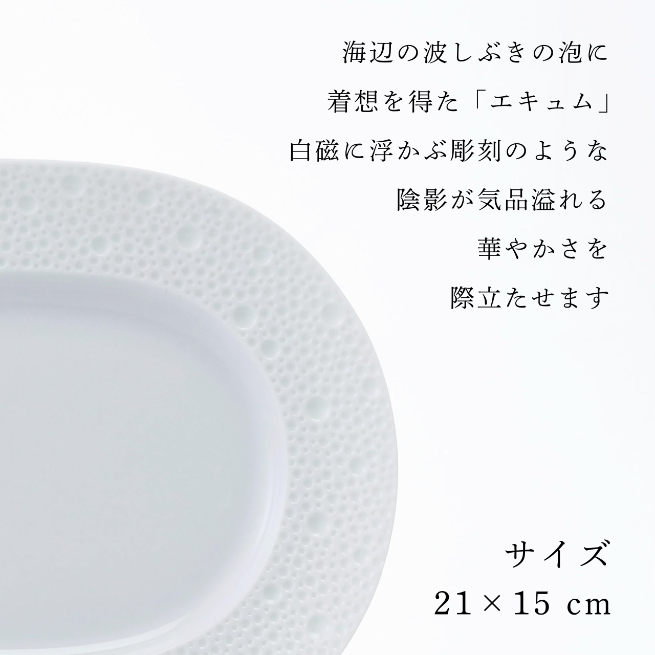 BERNARDAUD ベルナルド エキュム レリッシュ ディッシュ 21×15cm 単品 名入れ彫刻代込み 名前 彫刻 刻印 プレゼント ギフト 記念日 高級 ブランド 開店祝 新築祝 誕生日 法人 お皿 プレート インテリア ウェルカムボード オーバル だ円