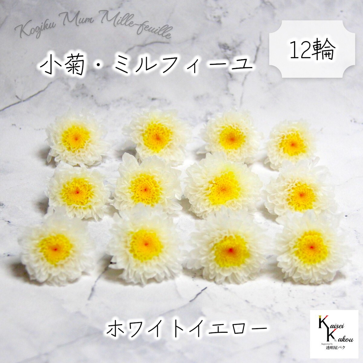 新品 小菊 ミルフィーユ ホワイトイエロー 1箱 大地農園プリザーブド 