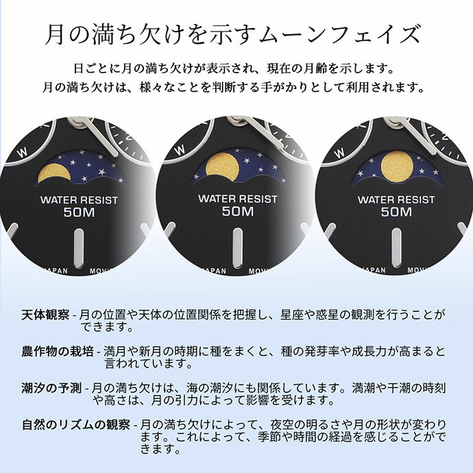 CASIO 腕時計 カシオ 時計 ウォッチ チープカシオ チプカシ ムーンフェイズ Moon phase アナログ メタルバンド メンズ MTP-M305D-1AV [並行輸入品]